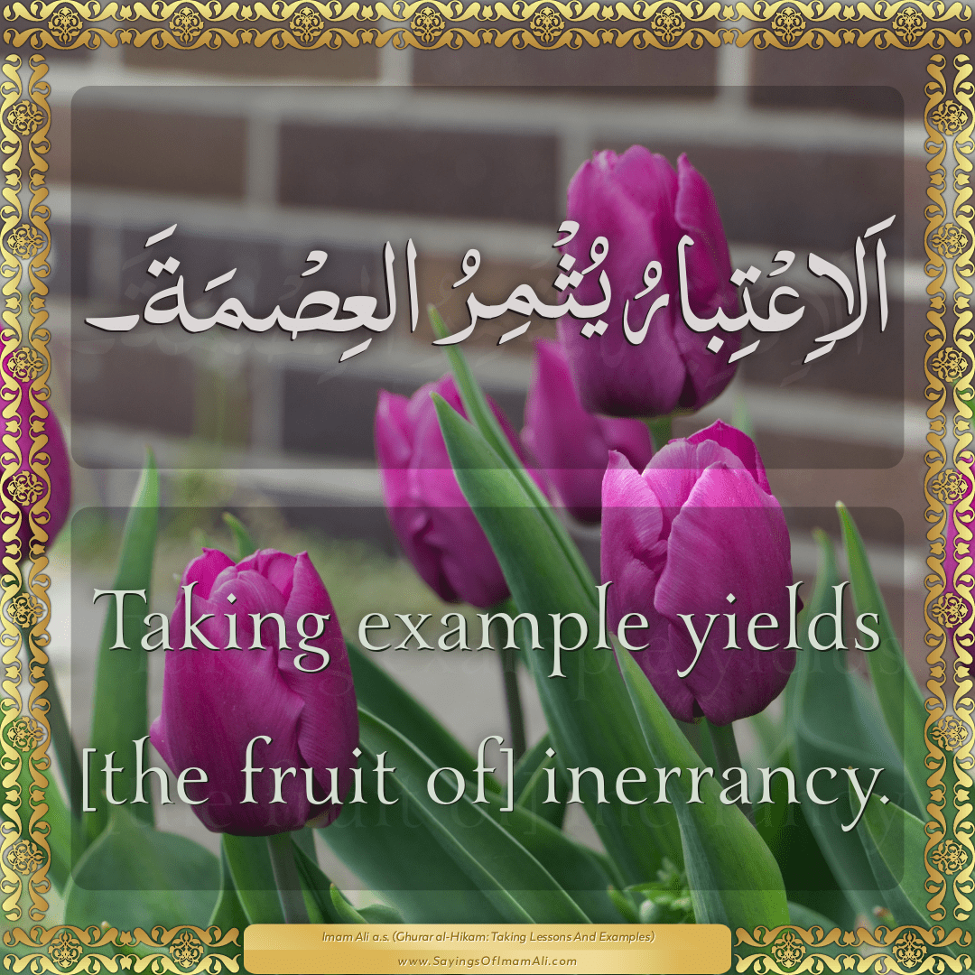 Taking example yields [the fruit of] inerrancy.